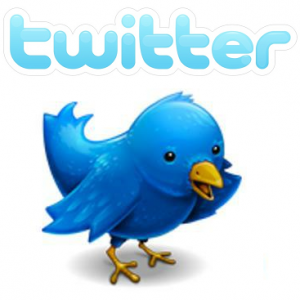 Twitter: segui l'uccellino azzurro...